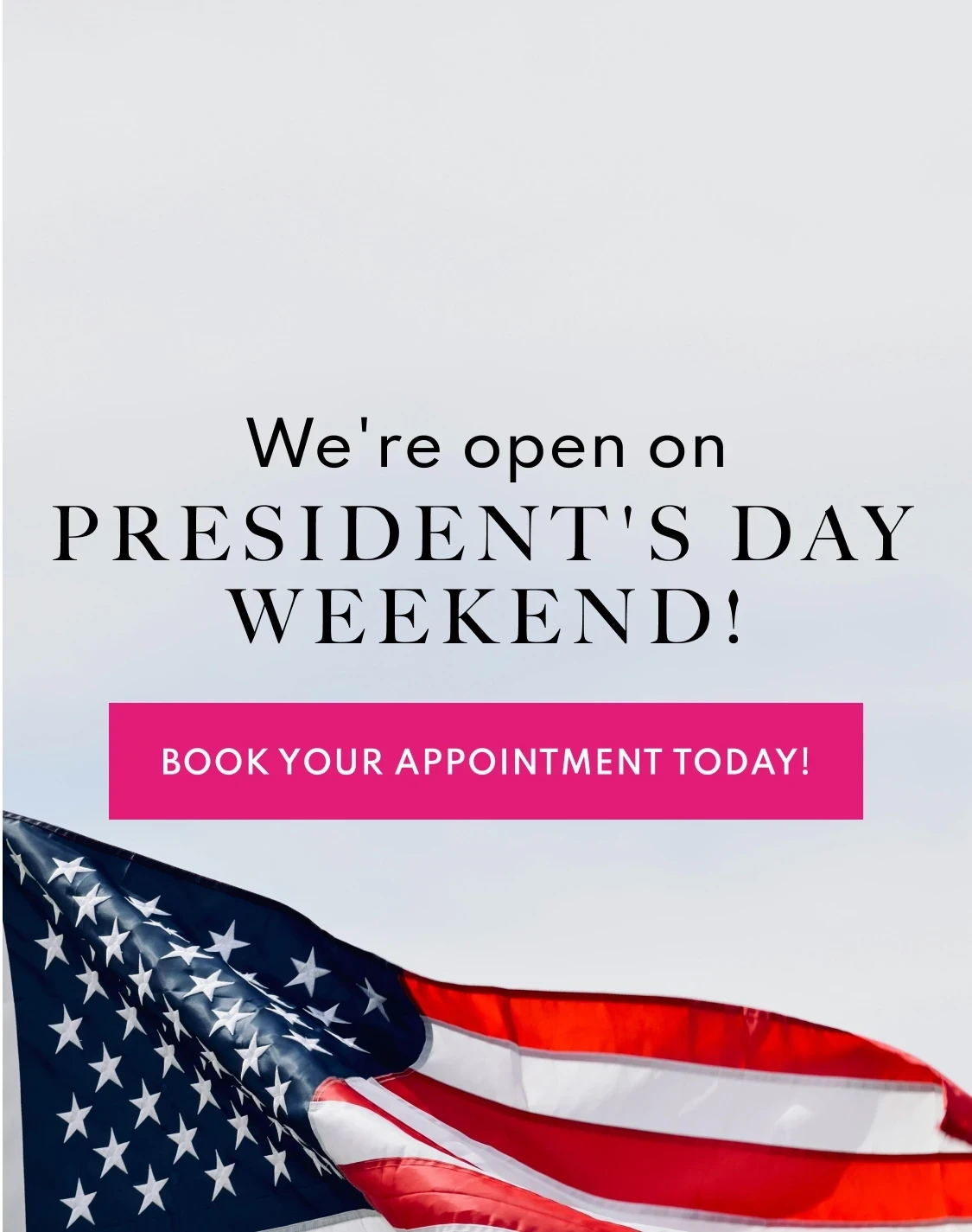 President's Day Banner